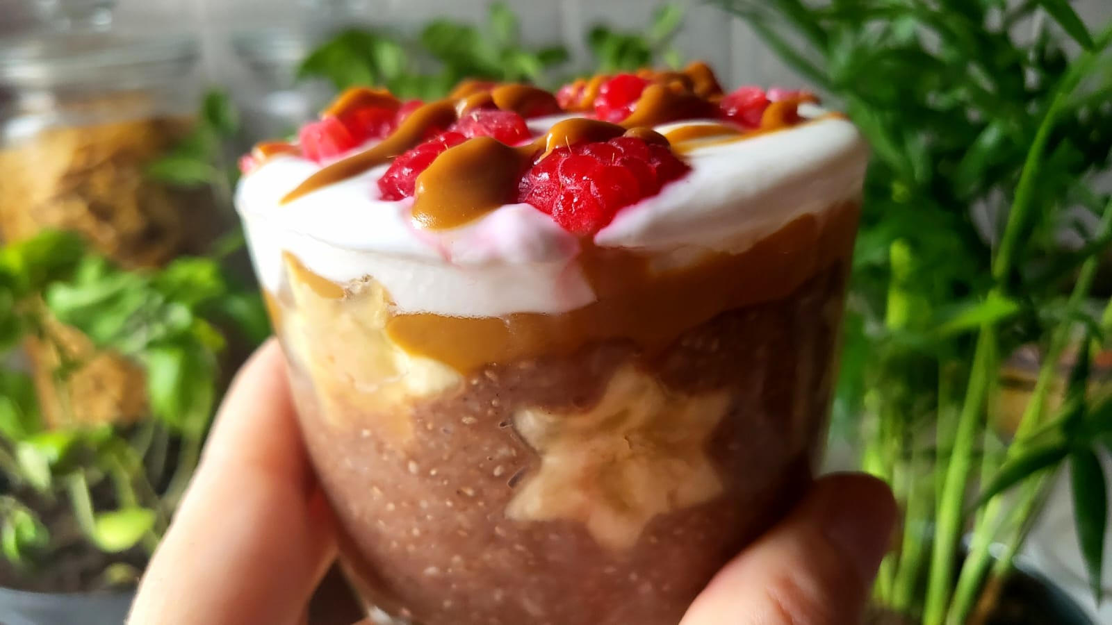 Chia pudding proteico con yogurt, lamponi e crema Biscoff