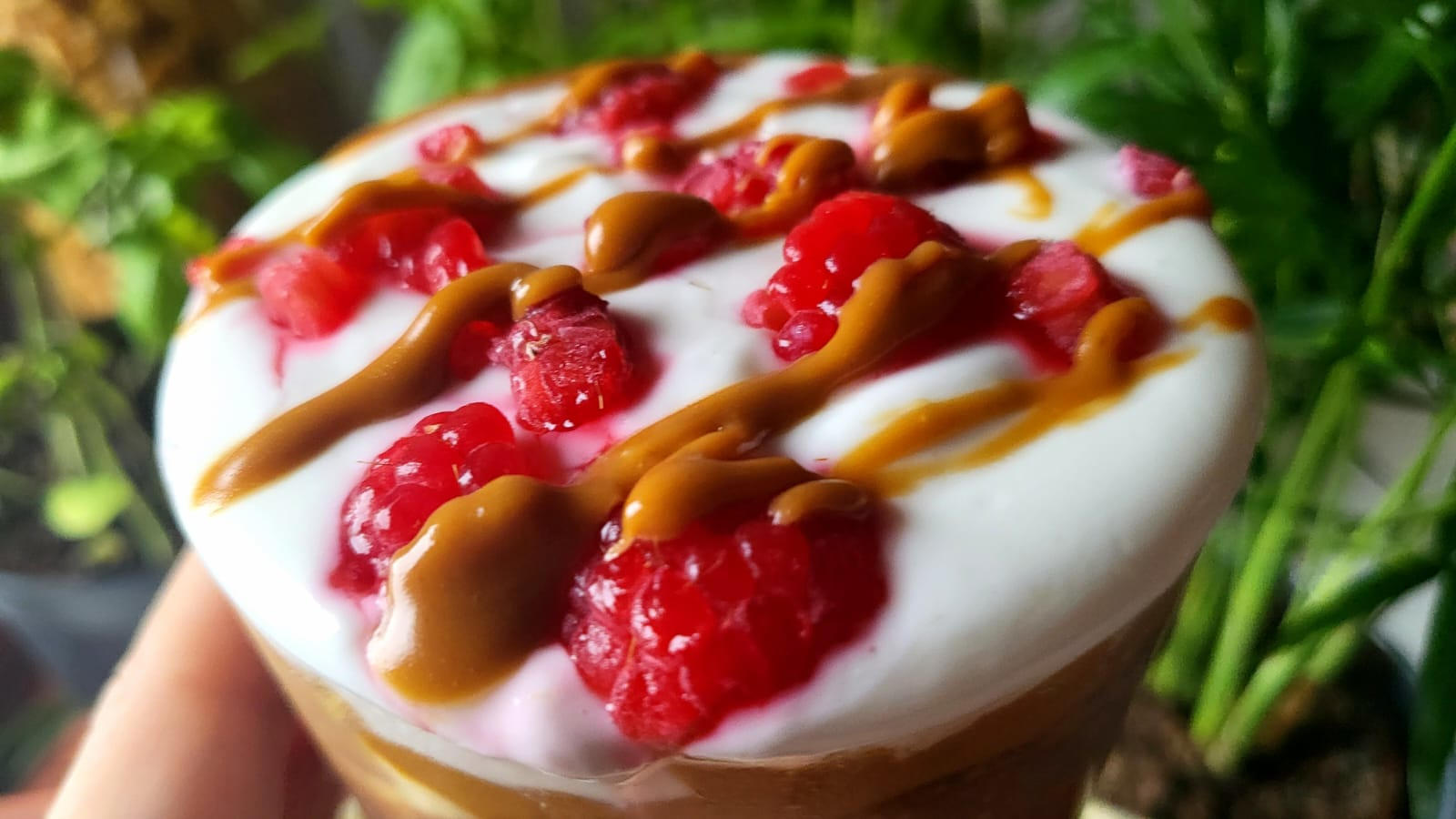 Chia pudding proteico con yogurt, lamponi e crema Biscoff