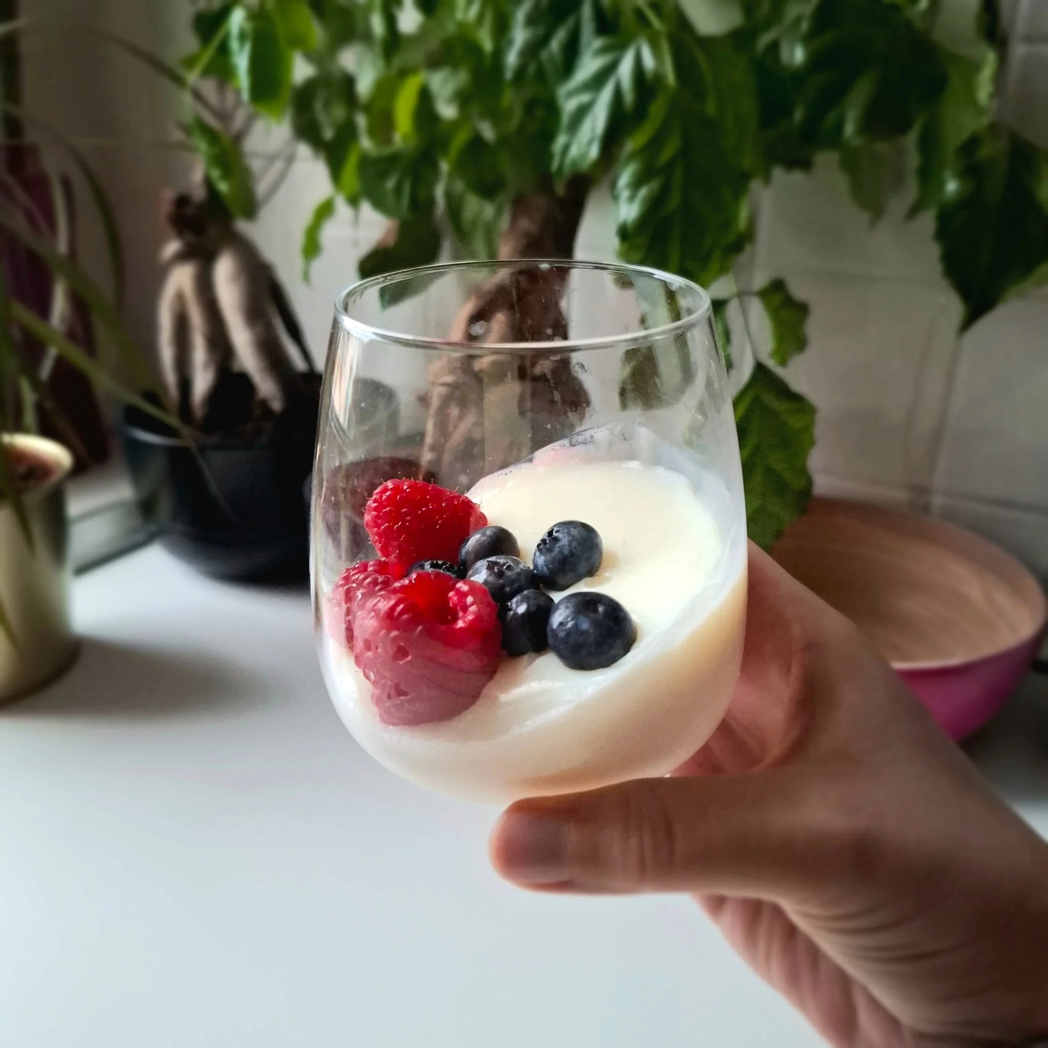 Panna cotta light senza panna