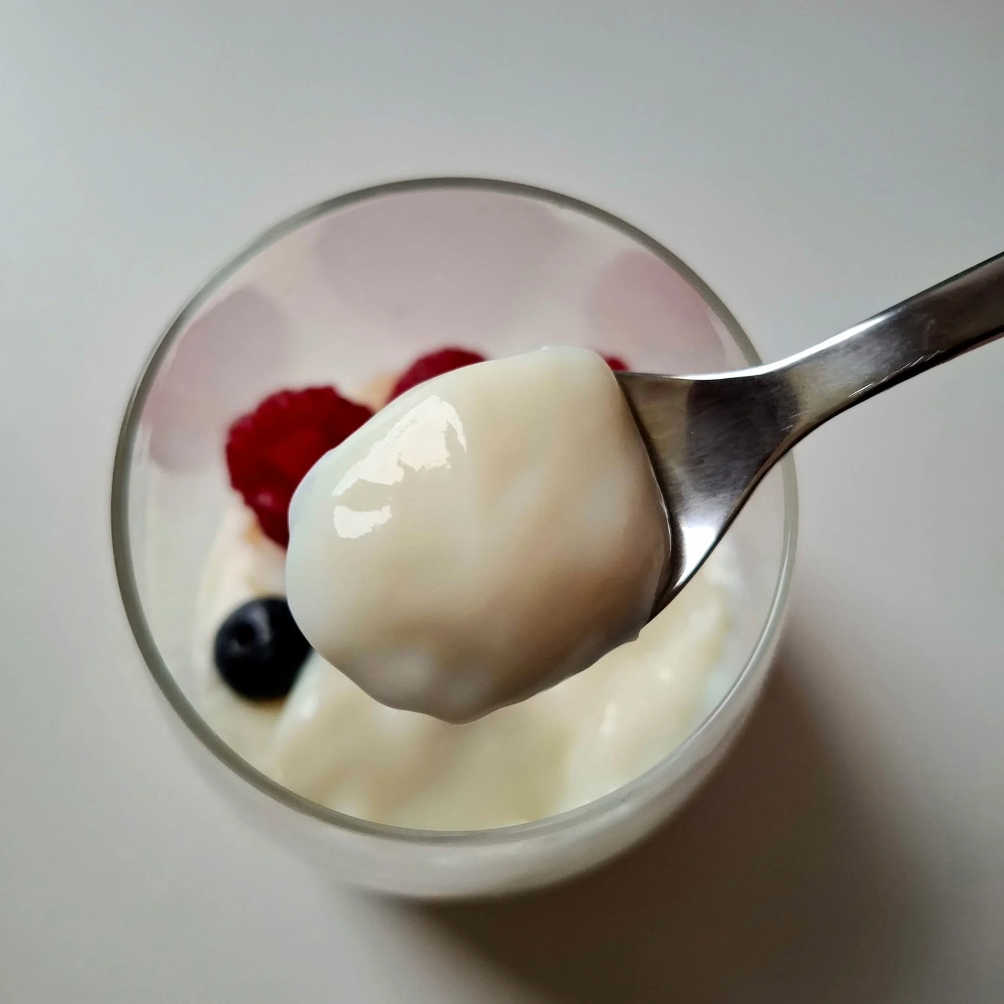 Panna cotta light senza panna