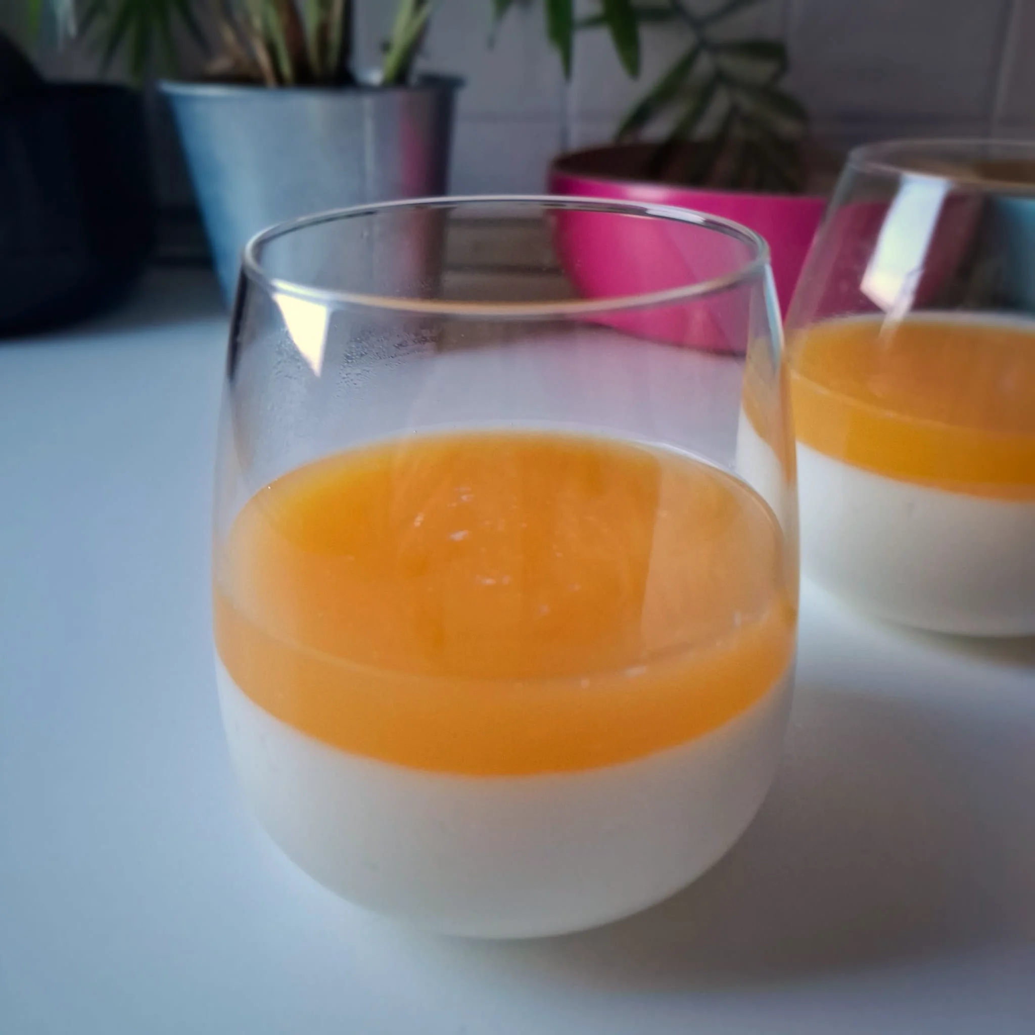 Panna cotta allo yogurt con gelatina al mango